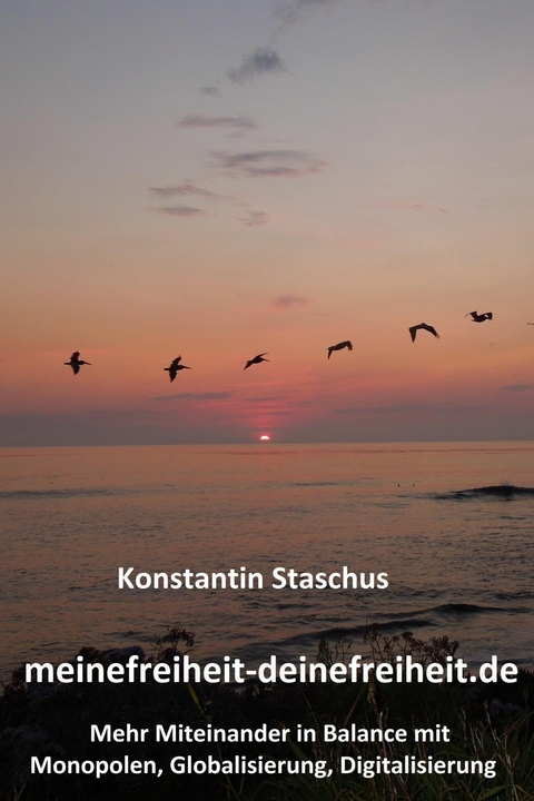 meinefreiheit-deinefreiheit.de - Konstantin Staschus