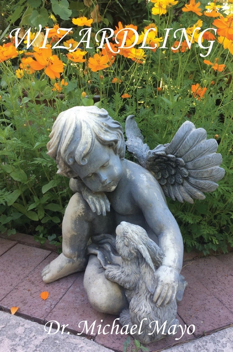 Wizardling - Michael T. Mayo