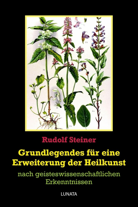 Grundlegendes zur Erweiterung der Heilkunst - Rudolf Steiner