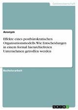 Effekte eines postb&uuml;rokratischen Organisationsmodells. Wie Entscheidungen in einem formal hierarchiefreien Unternehmen getroffen werden