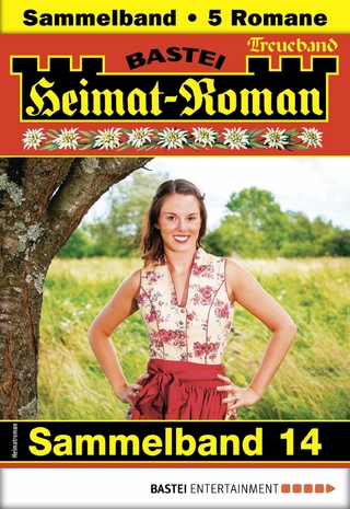 Heimat-Roman Treueband 14
