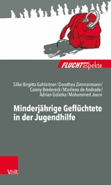 Minderj&auml;hrige Gefl&uuml;chtete in der Jugendhilfe -  Dorothea Zimmermann,  Silke Birgitta Gahleitner,  Marilena de Andrade,  Conny Bredereck,  Adrian Golatka