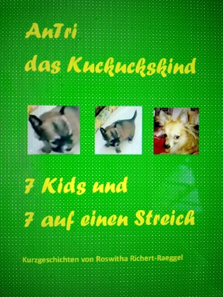 AnTri das Kuckuckskind. 7 Kids und 7 auf einen Streich