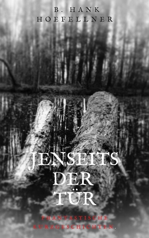 Jenseits der T&uuml;r - Bernhard H&ouml;fellner