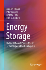 Energy Storage - Manuel Bailera, Pilar Lisbona, Bego&ntilde;a Pe&ntilde;a, Luis M. Romeo