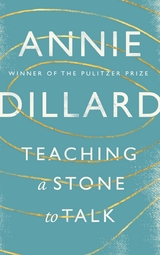 Teaching a Stone to Talk -  Annie Dillard