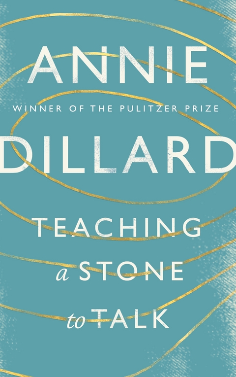 Teaching a Stone to Talk -  Annie Dillard