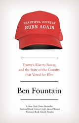 Beautiful Country Burn Again -  Ben Fountain