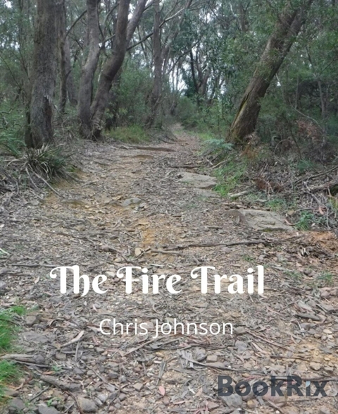 The Fire Trail - Chris Johnson