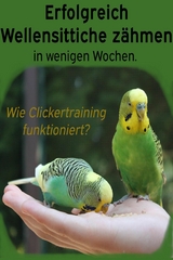 Erfolgreich Wellensittiche z&auml;hmen in wenigen Wochen. Wie funktioniert Clickertraining mit Wellensittichen? - Powerlifting Check