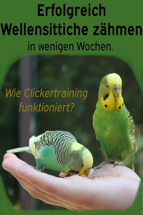 Erfolgreich Wellensittiche z&auml;hmen in wenigen Wochen. Wie funktioniert Clickertraining mit Wellensittichen? - Powerlifting Check