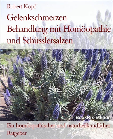 Gelenkschmerzen   Behandlung mit Hom&ouml;opathie und Sch&uuml;sslersalzen - Robert Kopf