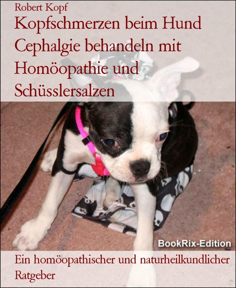 Kopfschmerzen beim Hund Cephalgie behandeln mit Hom&ouml;opathie und Sch&uuml;sslersalzen - Robert Kopf