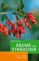 B&Atilde;&curren;ume und Str&Atilde;&curren;ucher - Ulrich Hecker