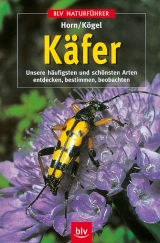 K&auml;fer - Hans Horn, Friedrich K&ouml;gel