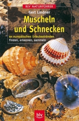 Muscheln und Schnecken - Gert Lindner
