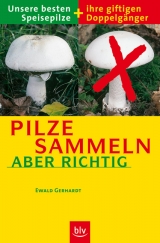 Pilze sammeln &ndash; aber richtig - Ewald Gerhardt