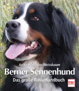 Der Berner Sennenhund - Anita Schneider-Weissbaum