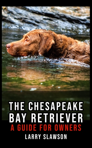 The Chesapeake Bay Retriever
