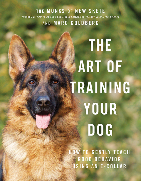 The Art of Training Your Dog - Marc Goldberg