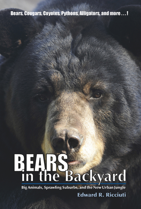 Bears in the Backyard - Edward R. Ricciuti