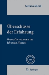 Überschüsse der Erfahrung - Stefano Micali