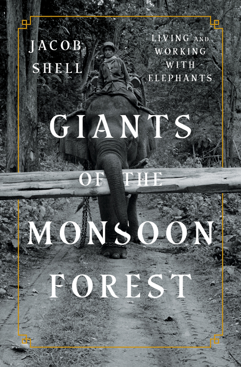Giants of the Monsoon Forest - Jacob Shell