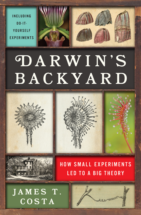 Darwin's Backyard - James T. Costa