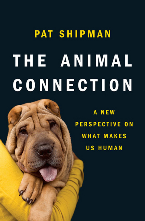 The Animal Connection - Pat Shipman