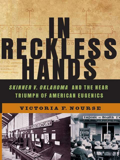 In Reckless Hands - Victoria F. Nourse