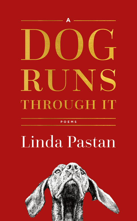 A Dog Runs Through It - Linda Pastan