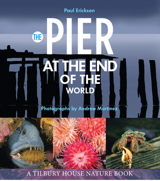 The Pier at the End of the World