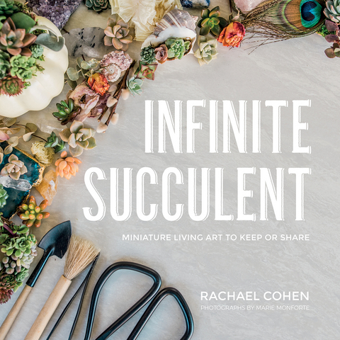 Infinite Succulent - Rachael Cohen