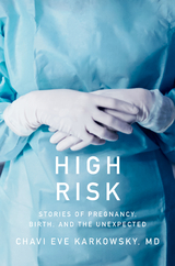 High Risk - Chavi Eve Karkowsky