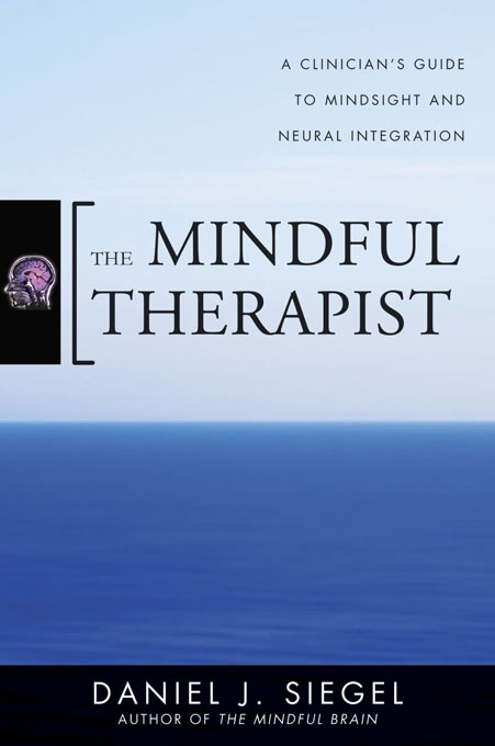 The Mindful Therapist - Daniel J. Siegel