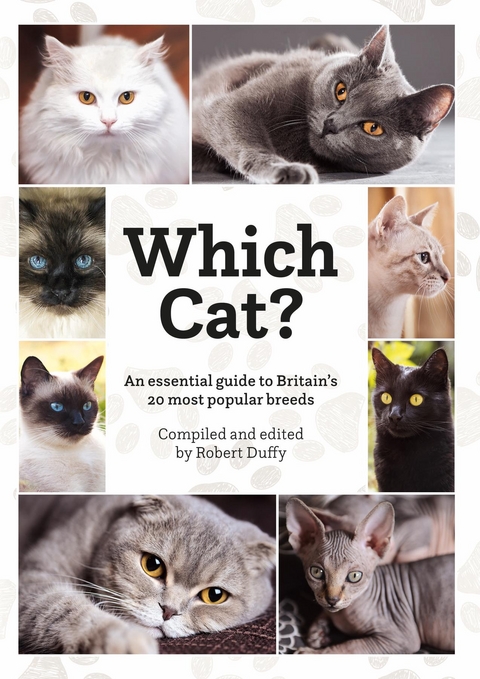 Which Cat - Robert Duffy