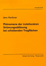 Phänomene der instationären Grenzschichtablösung bei schiebenden Tragflächen - Jens Henkner