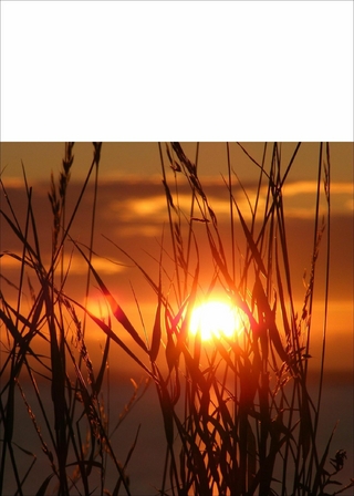 Tolle Wandertipps im Harz