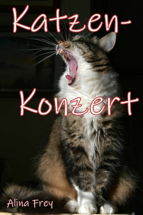 Katzen - Konzert - Alina Frey