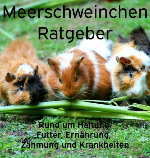 Meerschweinchen Ratgeber. - Powerlifting Check