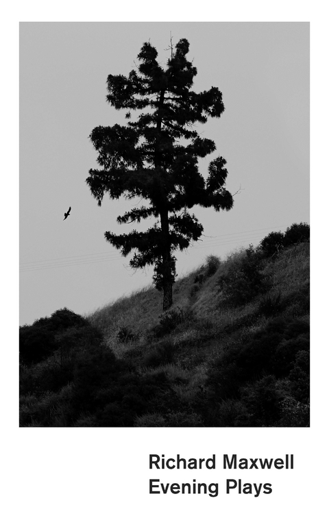 Evening Plays - Richard Maxwell