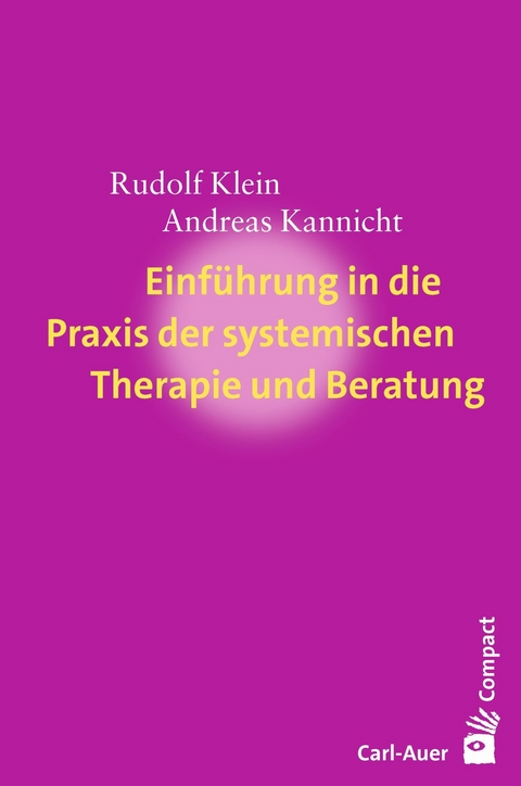 Einf&uuml;hrung in die Praxis der systemischen Therapie und Beratung - Rudolf Klein, Andreas Kannicht