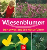 Wiesenblumen - Gertrud Scherf