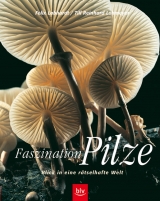 Faszination Pilze - Felix Labhardt, Till R Lohmeyer