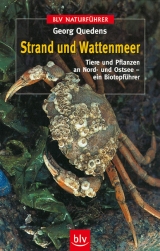 Strand und Wattenmeer - Georg Quedens