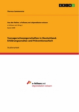 Teenagerschwangerschaften in Deutschland. Erkl&auml;rungsans&auml;tze und Pr&auml;ventionsarbeit - Theresa Sammereier