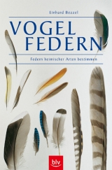 Vogelfedern - Einhard Bezzel