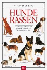 Hunderassen - David Alderton