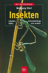 Insekten - Wolfgang Dierl