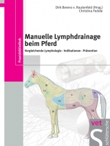Manuelle Lymphdrainage beim Pferd - Christina Fedele